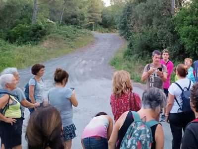 Explicació de les aplicacions mòbils per a la identificació